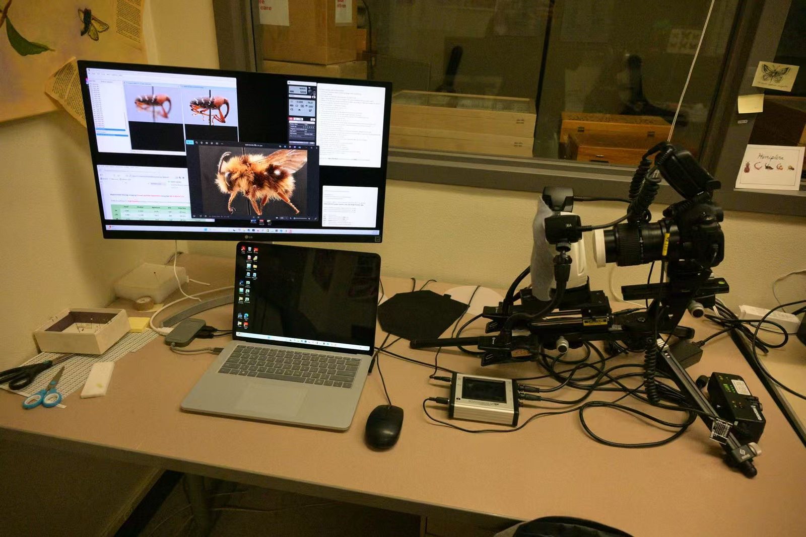 Macro imaging station: a camera with a ring flash on a motorized rail and its controller, next to a monitor showing focal slices of the weevil and a fused bee composite